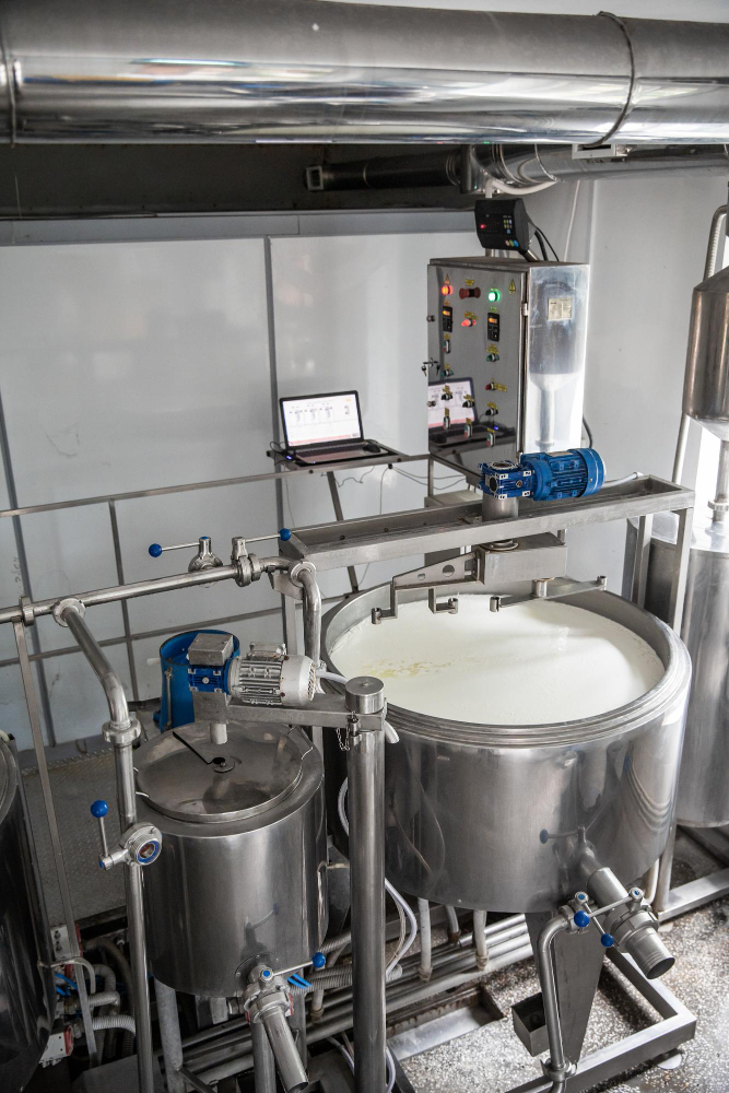 Food and Dairy